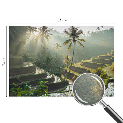 Fotótapéta nappaliba Paradicsomi teraszok