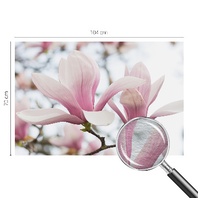 Fényképes tapéta Magnólia virágok