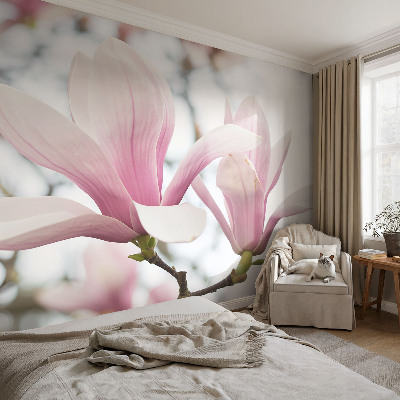 Fényképes tapéta Magnólia virágok