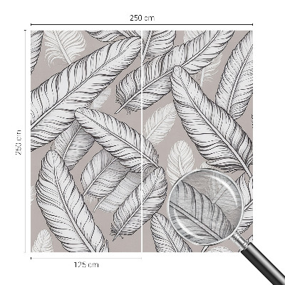 Vlies fotótapéta falra Finom tollak