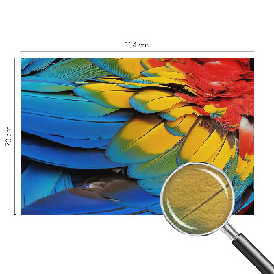 Fotótapéta méretre hálószobába Szivárvány tollak