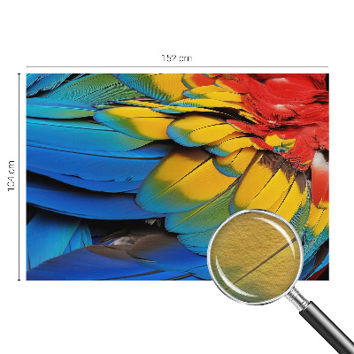 Fotótapéta méretre hálószobába Szivárvány tollak