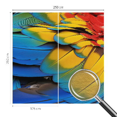 Fotótapéta méretre hálószobába Szivárvány tollak