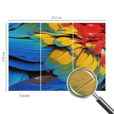 Fotótapéta méretre hálószobába Szivárvány tollak