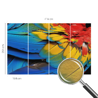 Fotótapéta méretre hálószobába Szivárvány tollak