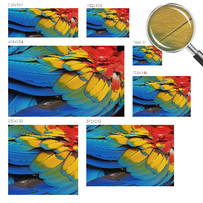 Fotótapéta méretre hálószobába Szivárvány tollak