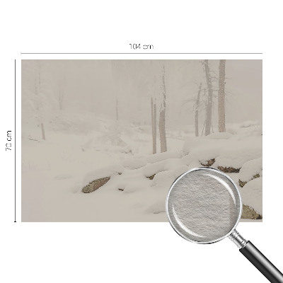 Óriás fotótapéta Havas erdő