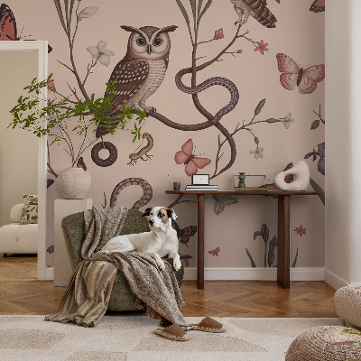 Vlies fotótapéta falra Bagoly természet