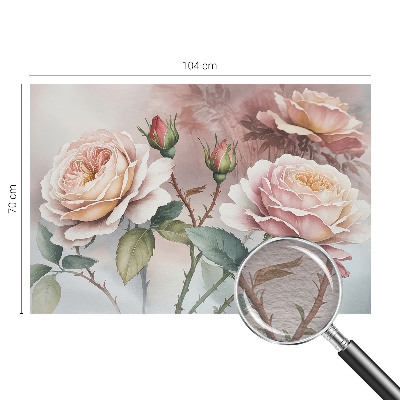 Dekor fotótapéta Pasztell rózsák