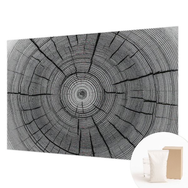 Modern fotótapéta Erdő harmóniája