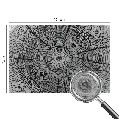 Modern fotótapéta Erdő harmóniája