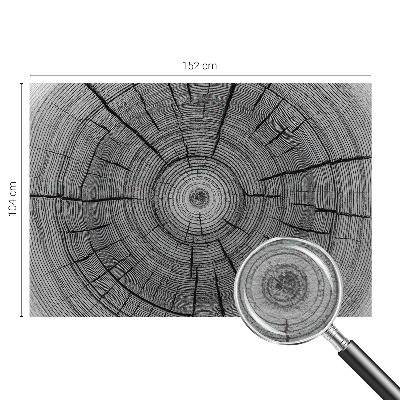 Modern fotótapéta Erdő harmóniája