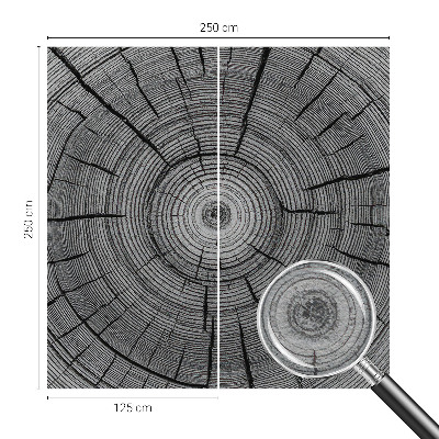 Modern fotótapéta Erdő harmóniája