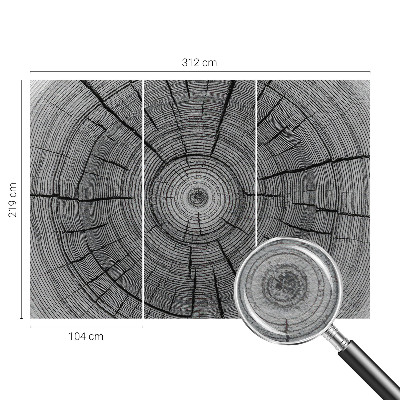 Modern fotótapéta Erdő harmóniája