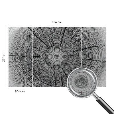 Modern fotótapéta Erdő harmóniája