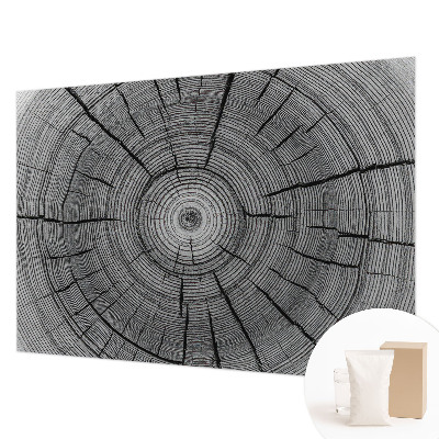 Modern fotótapéta Erdő harmóniája