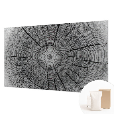 Modern fotótapéta Erdő harmóniája