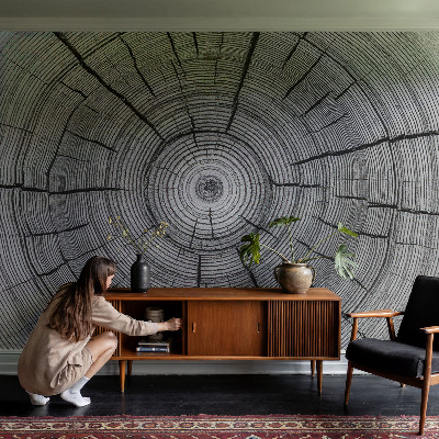 Modern fotótapéta Erdő harmóniája