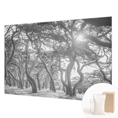 Fotótapéta méretre hálószobába Légköri erdő