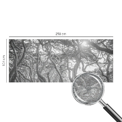 Fotótapéta méretre hálószobába Légköri erdő