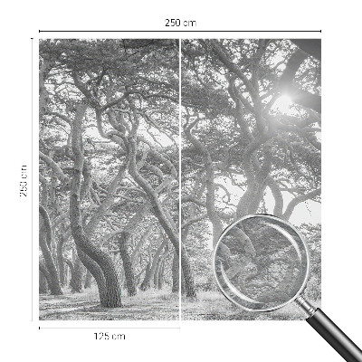 Fotótapéta méretre hálószobába Légköri erdő