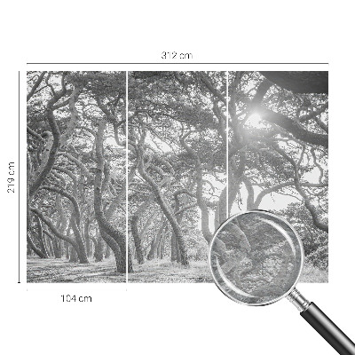 Fotótapéta méretre hálószobába Légköri erdő