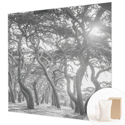 Fotótapéta méretre hálószobába Légköri erdő