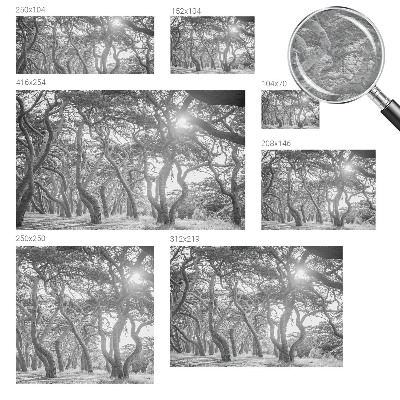 Fotótapéta méretre hálószobába Légköri erdő