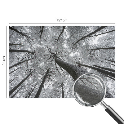 Dekoratív fotótapéta nappaliba Téli táj