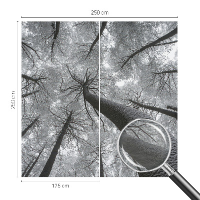 Dekoratív fotótapéta nappaliba Téli táj