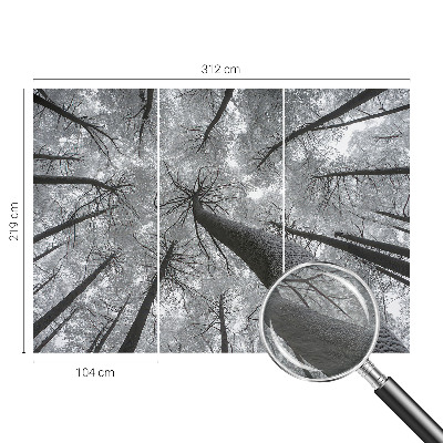 Dekoratív fotótapéta nappaliba Téli táj