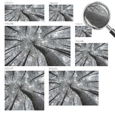 Dekoratív fotótapéta nappaliba Téli táj