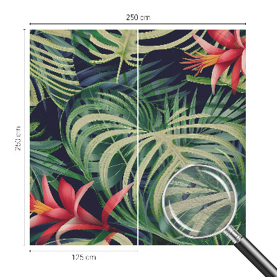 Kép tapéta Egzotikus növények