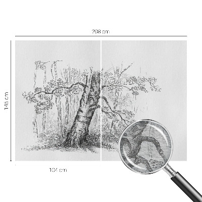 Vlies fotótapéta falra Erdei fa