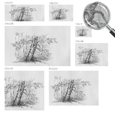 Vlies fotótapéta falra Erdei fa