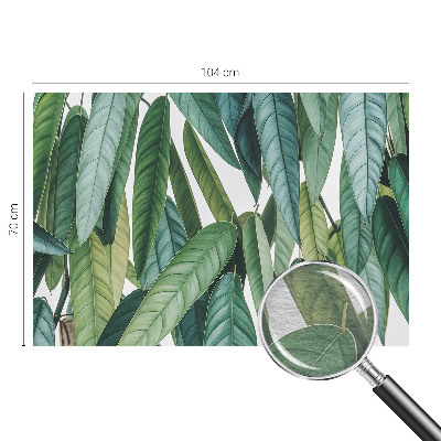 Vlies fotótapéta nappaliba Természetes levelek