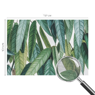 Vlies fotótapéta nappaliba Természetes levelek