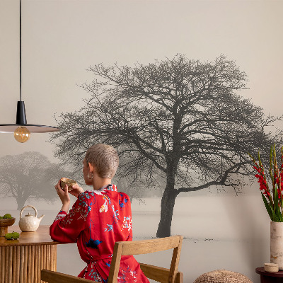 Vlies alapú fotótapéta Téli fák