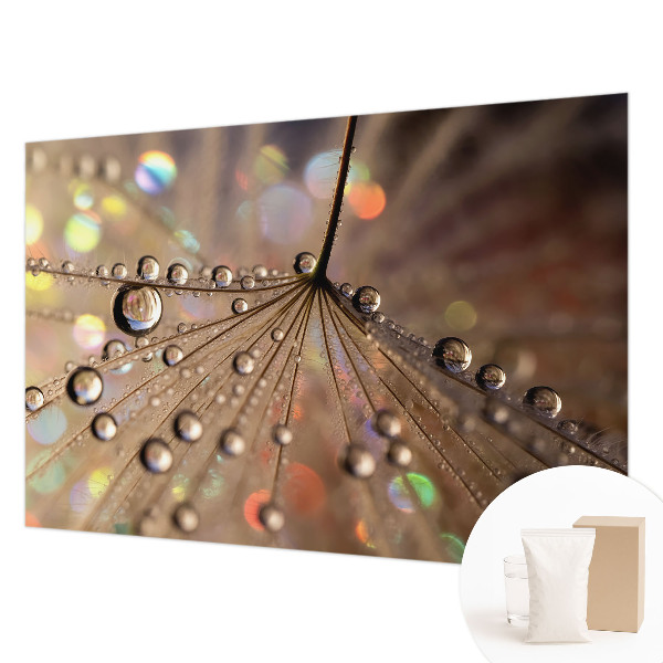 Modern fotótapéta Gyöngycseppek