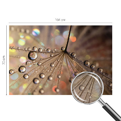 Modern fotótapéta Gyöngycseppek