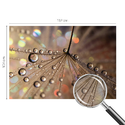 Modern fotótapéta Gyöngycseppek