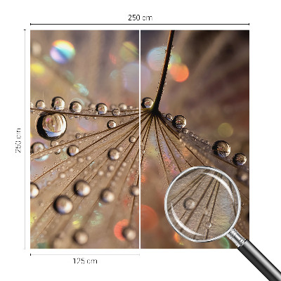 Modern fotótapéta Gyöngycseppek