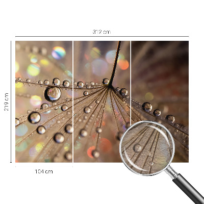 Modern fotótapéta Gyöngycseppek