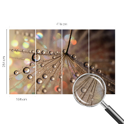 Modern fotótapéta Gyöngycseppek