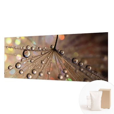 Modern fotótapéta Gyöngycseppek