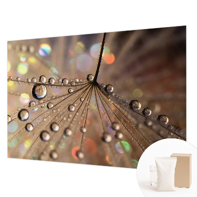 Modern fotótapéta Gyöngycseppek