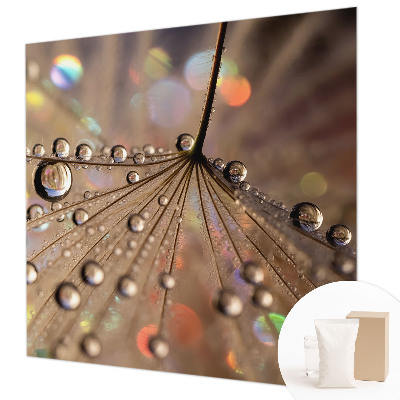 Modern fotótapéta Gyöngycseppek