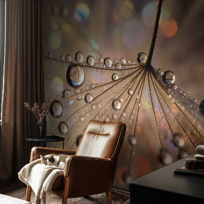 Modern fotótapéta Gyöngycseppek