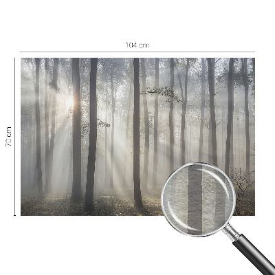 Fényképes tapéta Éteri Erdő