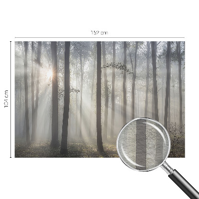 Fényképes tapéta Éteri Erdő